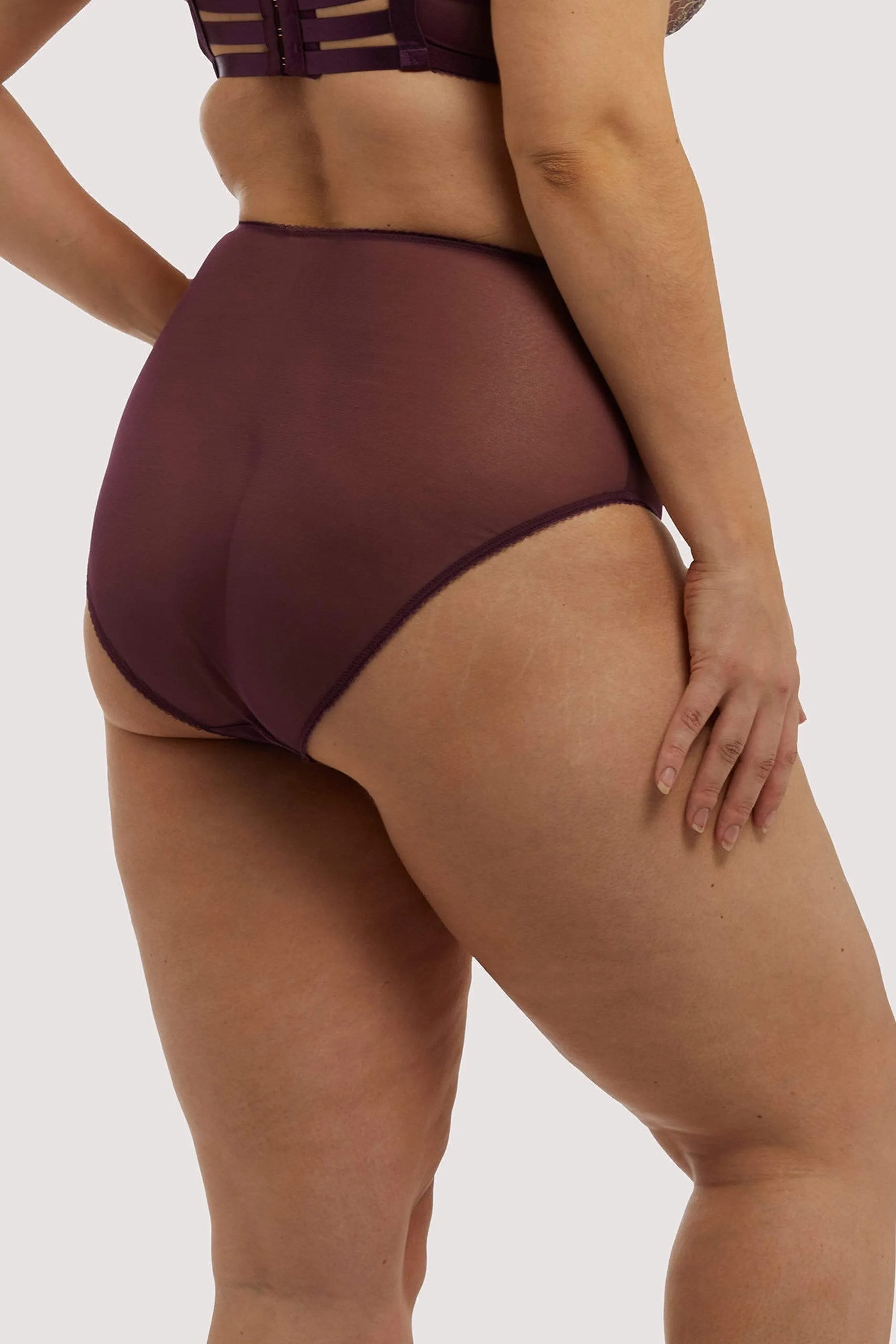 Evelina Aubergine Curve Brief