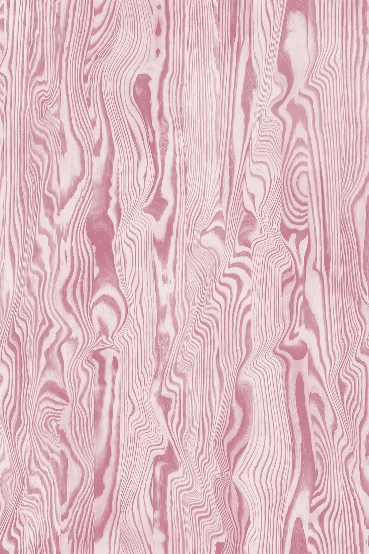 Vibrant Veneer Pink